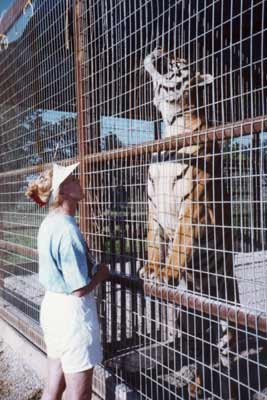 Big Cat Enclosures/Cages