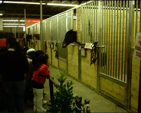 TONGUE AND BARN STALLS WITH GRILLED DOORS MANY STYLES TO CHOOSE FROM